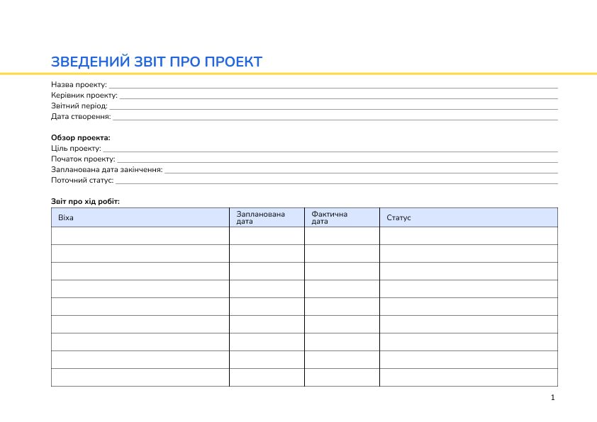 Зведений звіт про проект