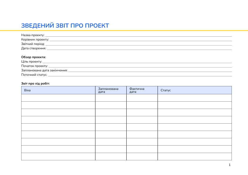 Зведений звіт про проект